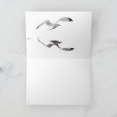 Gull Reflection Karte (Innenseite)