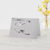 Gull Reflection Karte (Gelbe Blume)