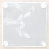 Gull-Reflektionen Glasuntersetzer (Rückseite)