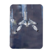 Gull-Reflektionen Magnet (Vertikal)