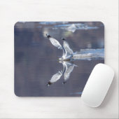 Gull-Reflektionen Mousepad (Mit Mouse)