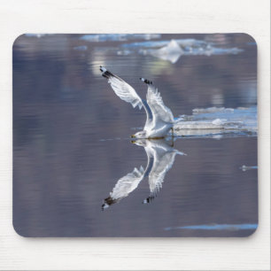 Gull-Reflektionen Mousepad