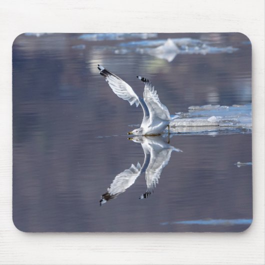 Gull-Reflektionen Mousepad (Vorne)