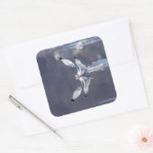 Gull-Reflektionen Quadratischer Aufkleber (Umschlag)