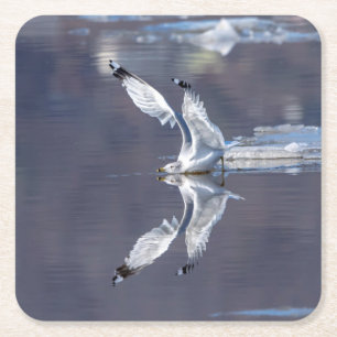 Gull-Reflektionen Rechteckiger Pappuntersetzer