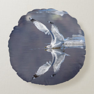 Gull-Reflektionen Rundes Kissen