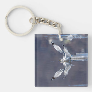 Gull-Reflektionen Schlüsselanhänger