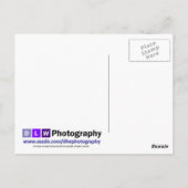 Gull Rock Postkarte (Rückseite)