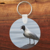 Gull Schlüsselanhänger (Vorderseite)