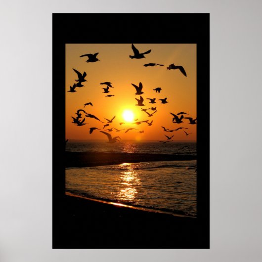 Gull-Sonnenuntergang Poster (Vorne)
