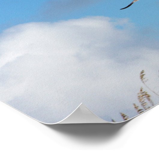 Gull Trio 2 Poster (Ecke)