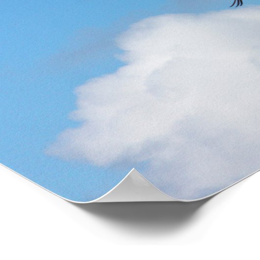 Gull Trio 5 Poster (Ecke)