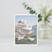 Gull Vintage Postkarte (Stehend Vorderseite)