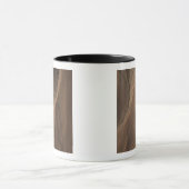 Gullies am Edge of Hale Crater, Mars Tasse (Zentrum)