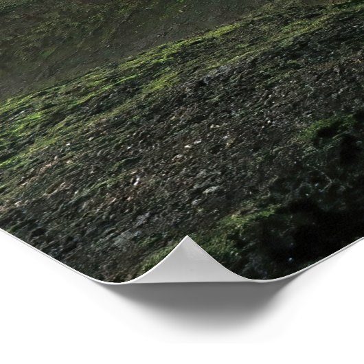 Gullies Poster (Ecke)
