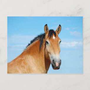 Gulliver Headshot Postcard Postkarte