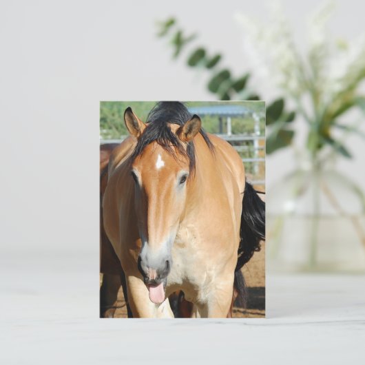 Gulliver Tongue Out Postcard Postkarte (Stehend Vorderseite)