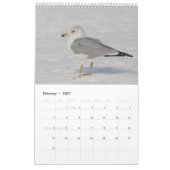 Gulls 2026 kalender (Feb 2027)