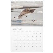 Gulls 2026 kalender (Jan 2027)
