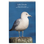 Gulls 2026 kalender (Titelbild)