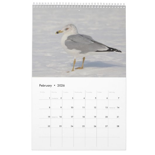 Gulls 2026 kalender (Feb 2026)