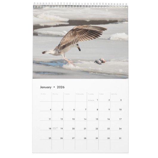 Gulls 2026 kalender (Jan 2026)