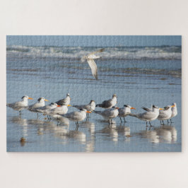 Gulls am Strand von Florida Puzzle