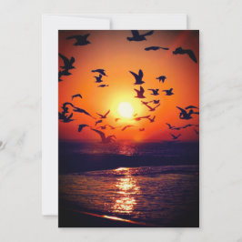 Gulls bei Sonnenuntergang Foto Orange und Black We Einladung
