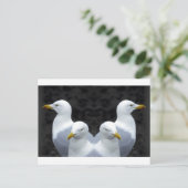 Gulls, Gulls, Gulls Postkarte (Stehend Vorderseite)