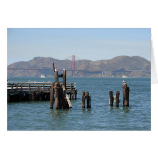 Gulls in San Francisco Bay Pier