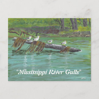 Gulls Mississippi Postkarte