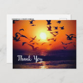 Gulls Silhouetted by Orange Sunset Vielen Dank Postkarte (Vorne/Hinten)