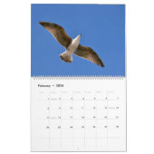 Gulls und Seagulls 12 Monate Kalender (Feb 2026)