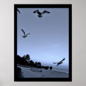 Gulls, unterbrochen poster (Vorne)