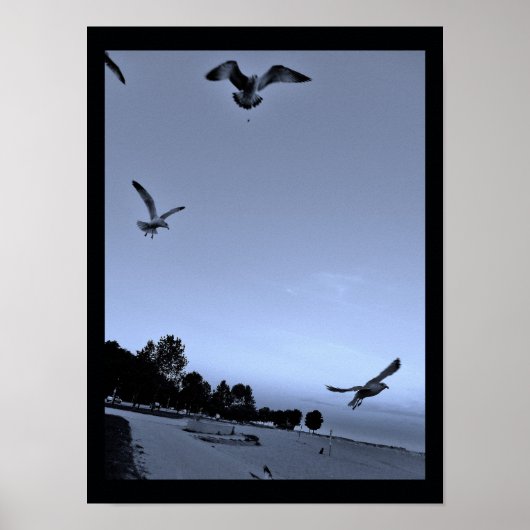 Gulls, unterbrochen poster (Vorne)