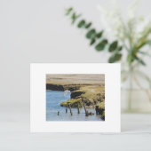 Guls in Flight Postcard Postkarte (Stehend Vorderseite)