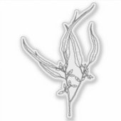 Gum Leaf Sticker (Vorderseite)