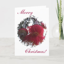 Gum Nut Christmas Card Feiertagskarte