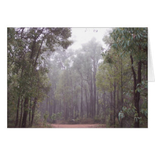 Gum Trees
