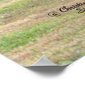 Gumbo-Limbo-Bäume Wald Poster (Ecke)