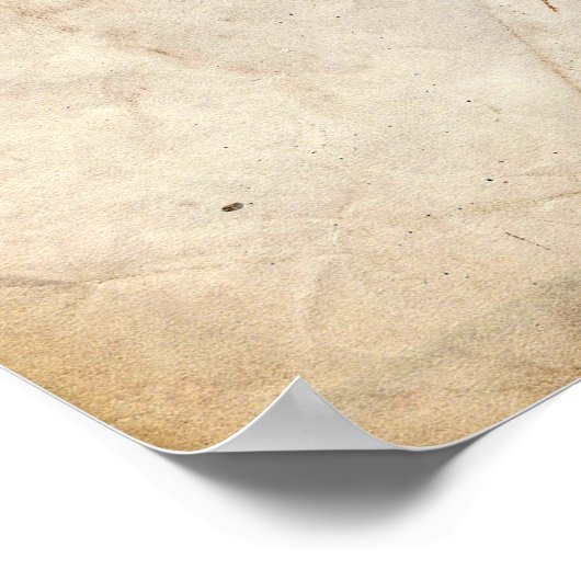 Gummi Duck Patent Poster (Ecke)