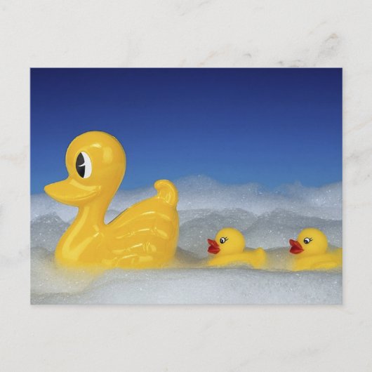 Gummi Duck Postkarte (Vorderseite)