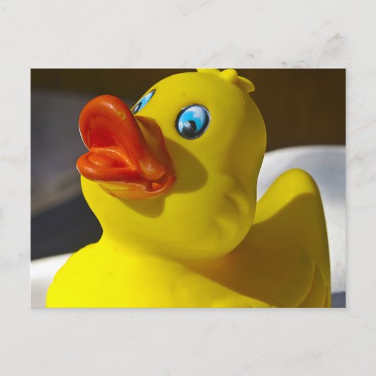 Gummi Duck Postkarte (Vorderseite)