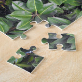 Gummibaum-Blattmuster Puzzle (Seite)