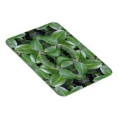 Gummibaummuster Magnet (Rechte Seite)