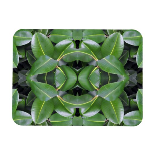 Gummibaummuster Magnet (Horizontal)