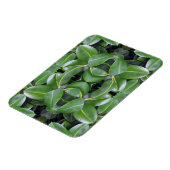 Gummibaummuster Magnet (Linke Seite)