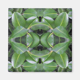 Gummibaummuster Magnet