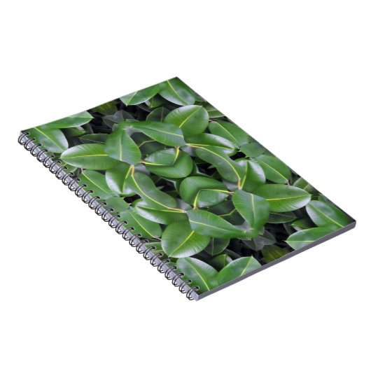 Gummibaummuster Notizblock (Rechte Seite)