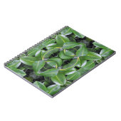 Gummibaummuster Notizblock (Linke Seite)